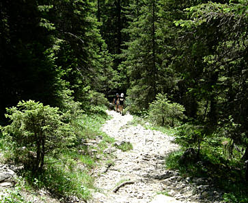 Graubünden - Marathon 2008