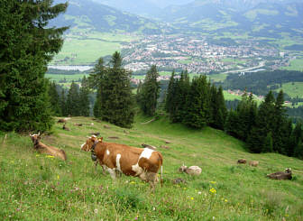 Immenstdter Gebirgsmarathon 2008