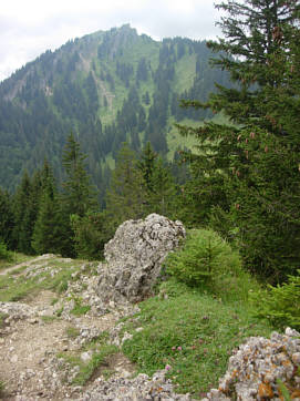 Immenstädter Gebirgsmarathon 2008