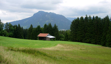 Immenstädter Gebirgsmarathon 2008