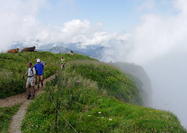 Immenstdter Gebirgsmarathon 2008