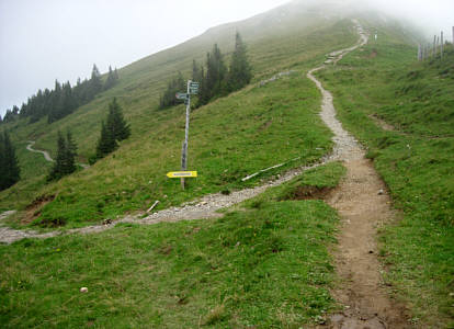 Immenstdter Gebirgsmarathon 2008