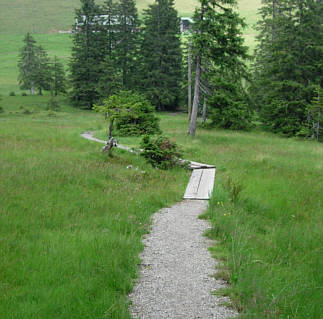 Immenstädter Gebirgsmarathon 2008