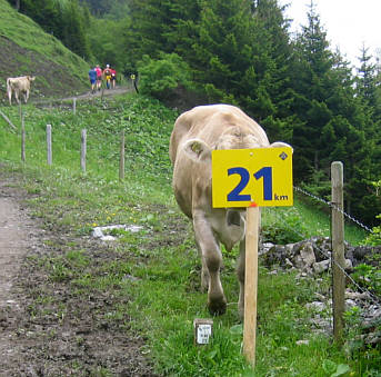 Liechtenstein - Marathon 2008