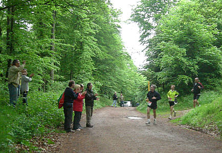 Rennsteig - Supermarathon 2008