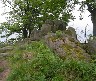 Rennsteig - Supermarathon 2008