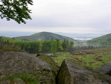 Rennsteig - Supermarathon 2008