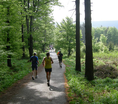 Rennsteig - Supermarathon 2008