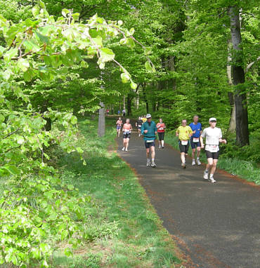 Rennsteig - Supermarathon 2008