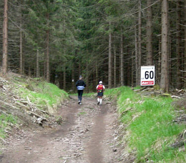 Rennsteig - Supermarathon 2008