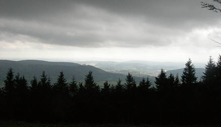 Rennsteig - Supermarathon 2008