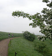 Rennsteig - Supermarathon 2008