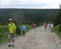 Rennsteig - Supermarathon 2008