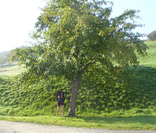 Saale Rennsteig Marathon 2008