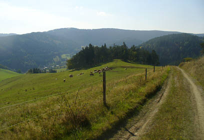 Saale Rennsteig Marathon 2008