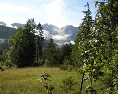 Walchensee Marathon 2008