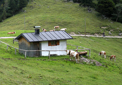 Walchensee Marathon 2008