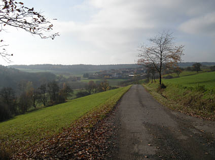 Zeiler Waldmarathon 2008