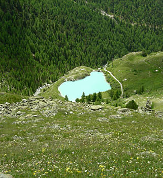 Zermatt - Marathon 2008