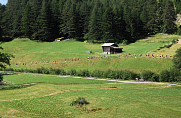 Zermatt - Marathon 2008