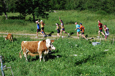 Zermatt - Marathon 2008