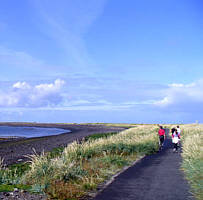 Reykjavik Marathon 2009