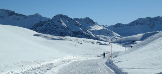 Arosa Snow Run und Walk Event 2009