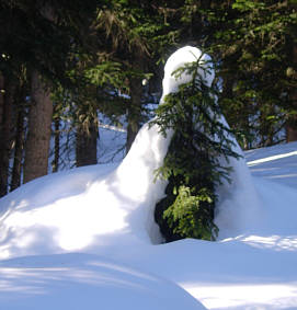 Arosa Snow Run und Walk Event 2009