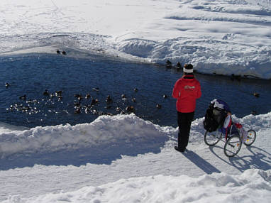 Arosa Snow Run und Walk Event 2009