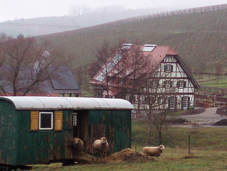 Eisweinlauf 2009