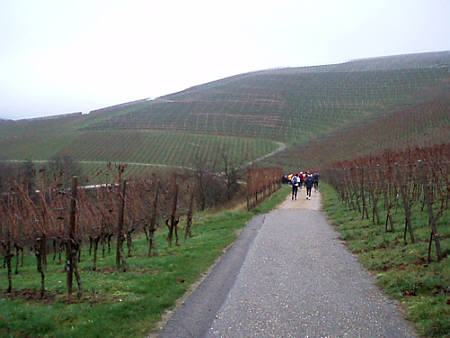 Eisweinlauf 2009