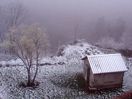 Eisweinlauf 2009