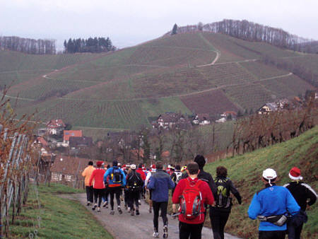 Eisweinlauf 2009