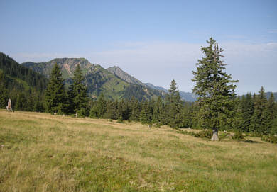 Gebirgsmarathon Immenstadt 2009