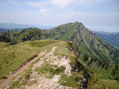 Gebirgsmarathon Immenstadt 2009