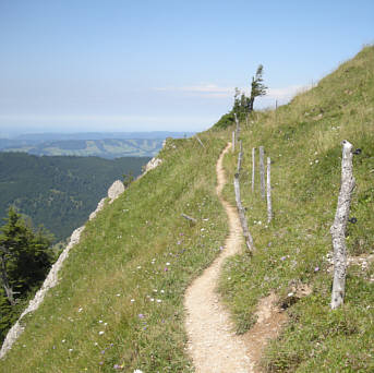 Gebirgsmarathon Immenstadt 2009