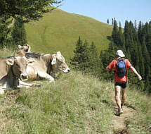 Gebirgsmarathon Immenstadt 2009