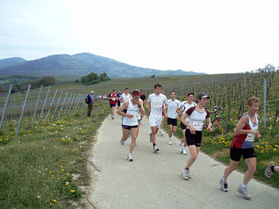 Genusslauf Halbmarathon Mllheim 2009