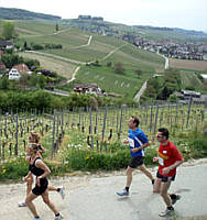 Genusslauf in Mllheim / Baden am 26.04.2009 