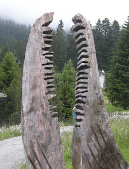 Graubünden Marathon 2009