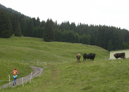 Graubnden Marathon 2009