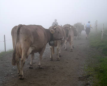 Graubünden Marathon 2009