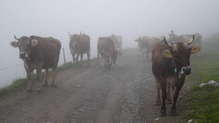 Graubünden Marathon 2009