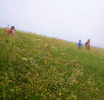 Graubnden Marathon 2009