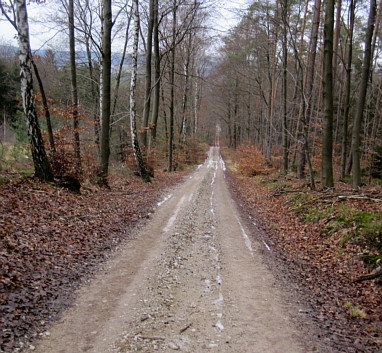 Höhen - Ultra im Jahr 2009