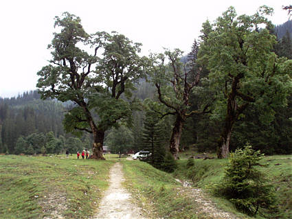 Karwendelmarsch 2009