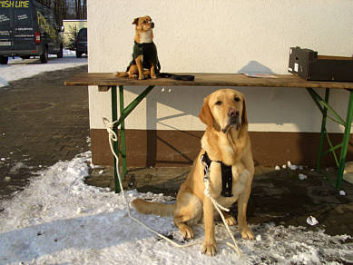 Dreiknigslauf Kersbach 2009