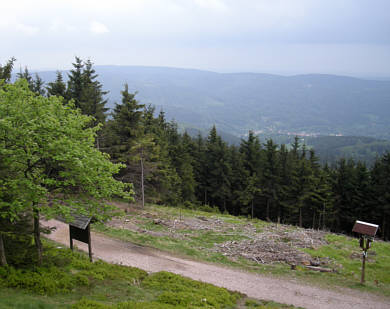 Rennsteig Supermarathon 2009