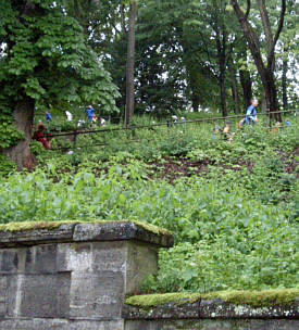 Rennsteig Supermarathon 2009