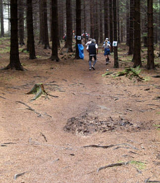 Rennsteig Supermarathon 2009